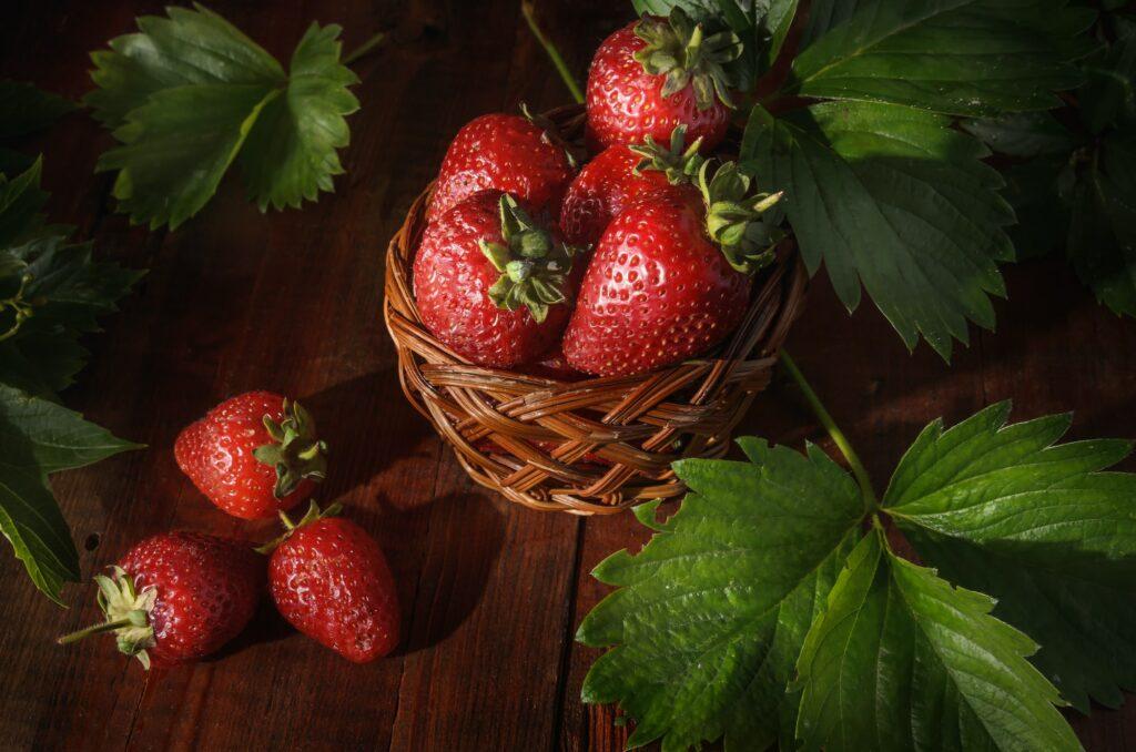 Erdbeerstrauch und Erdbeeren Karmen