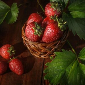 Erdbeerstrauch und Erdbeeren Karmen