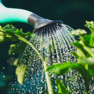 Gartenbewässerung
