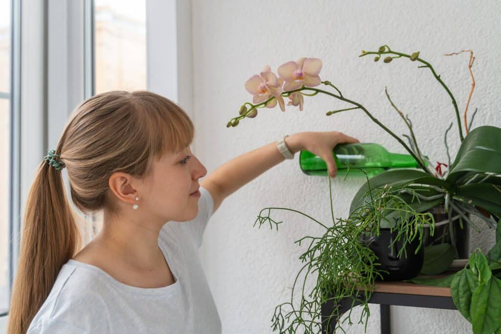 Junge Frau gießt Orchidee mit einer Plastikflasche auf dem Balkon. Heimgärtnerei