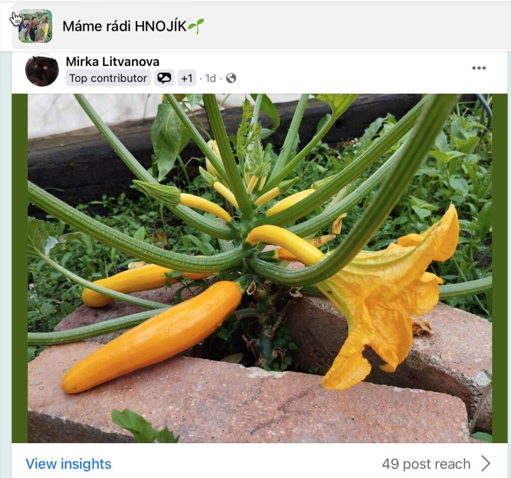Dünger bei der sommerlichen Anwendung an Gemüse