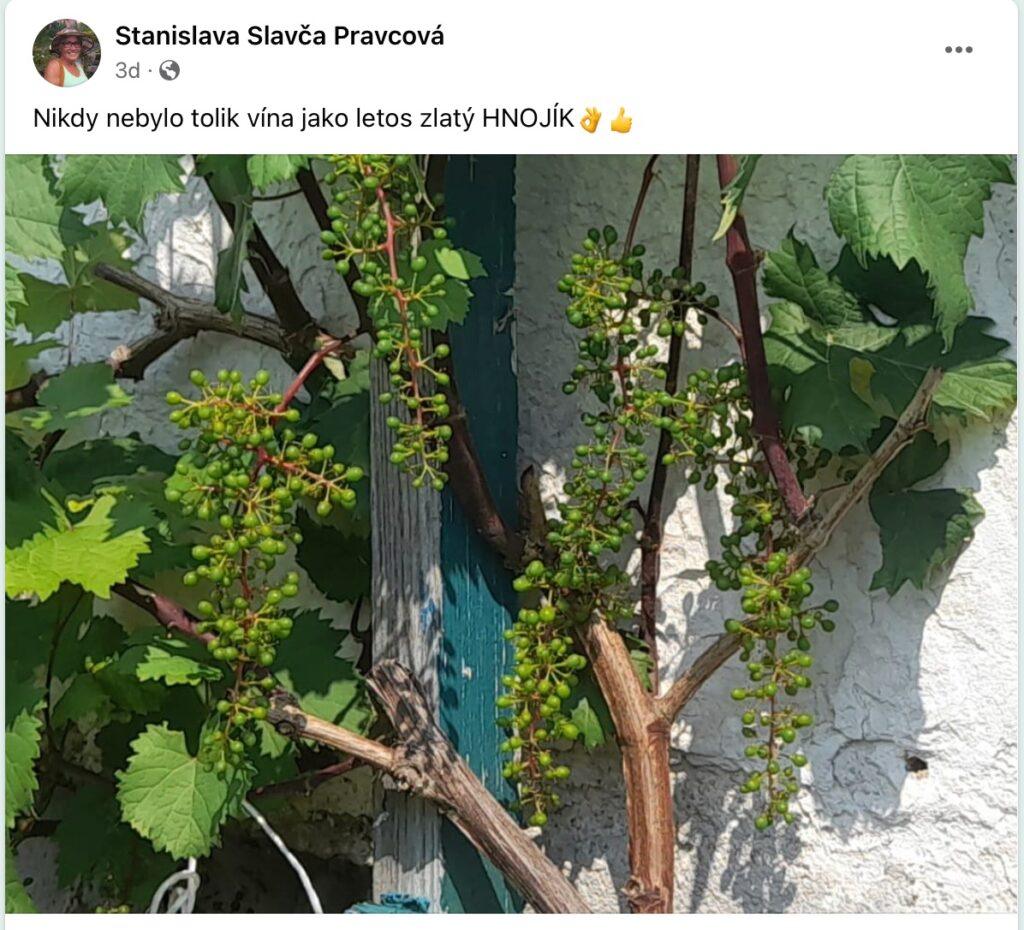 Dünger in der Verpackung im Garten
