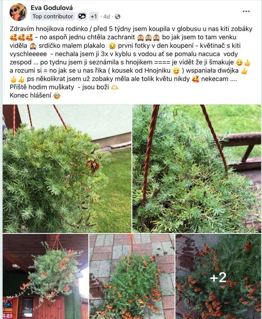 Dünger in der Verpackung mit gelbem Etikett im Garten