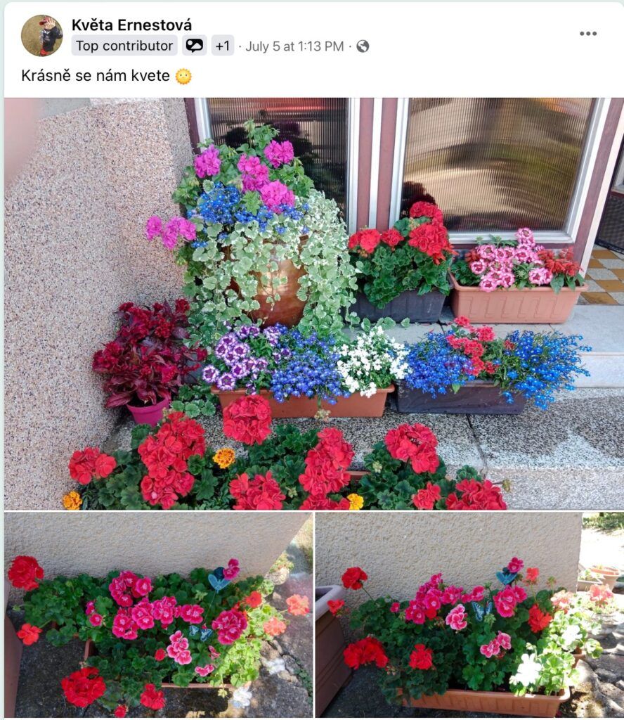 Dünger in der Verpackung mit markantem Design im Garten