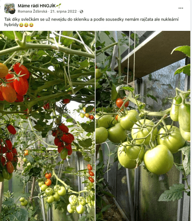 Düngemittel in einer Verpackung im Garten mit Pflanzen