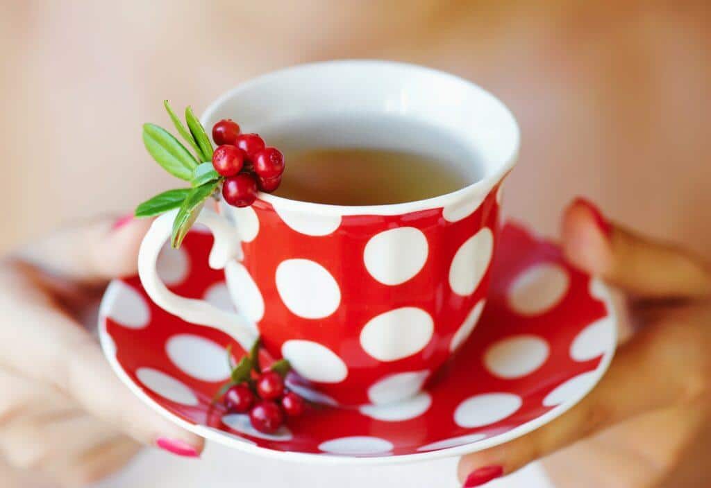 Preiselbeeren Tee - Vaccinium