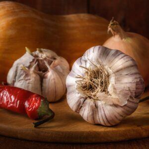 Weißfäule befällt Knoblauch und Zwiebeln