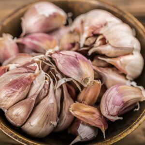 Knoblauchschimmel befällt alle Zwiebelgewächse