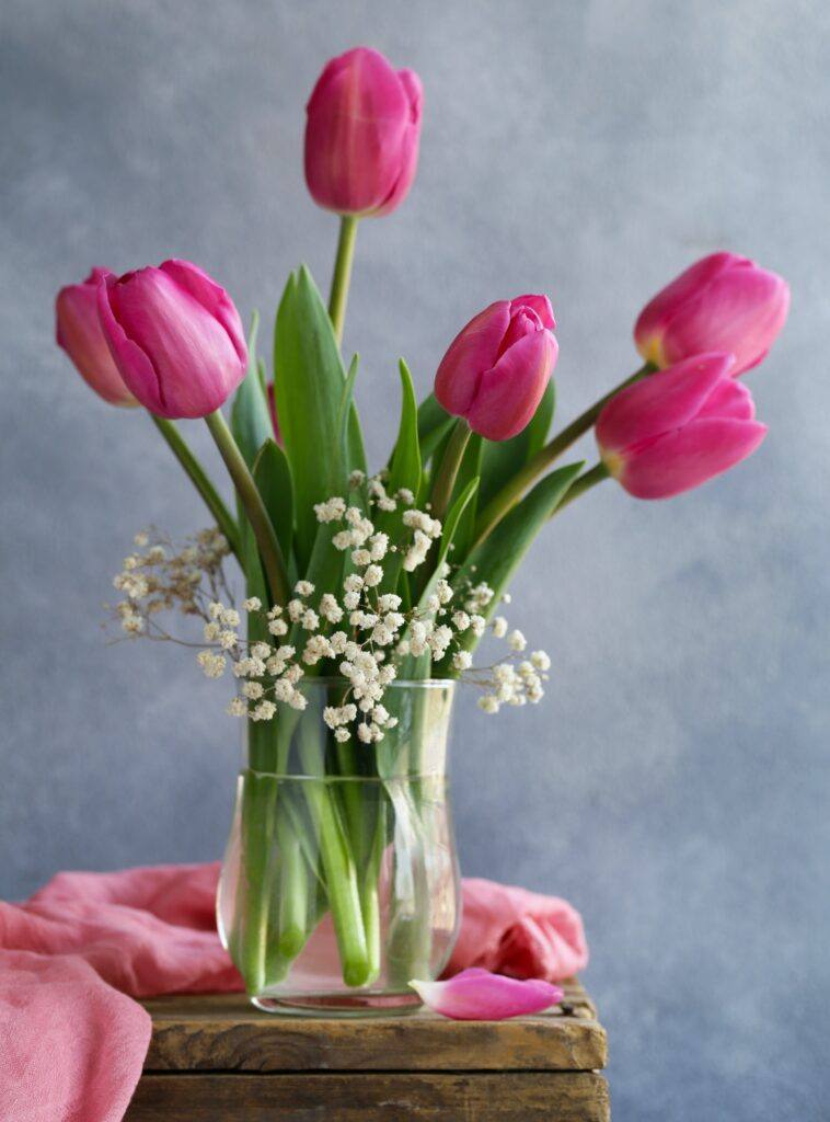 Strauß rosa Tulpen