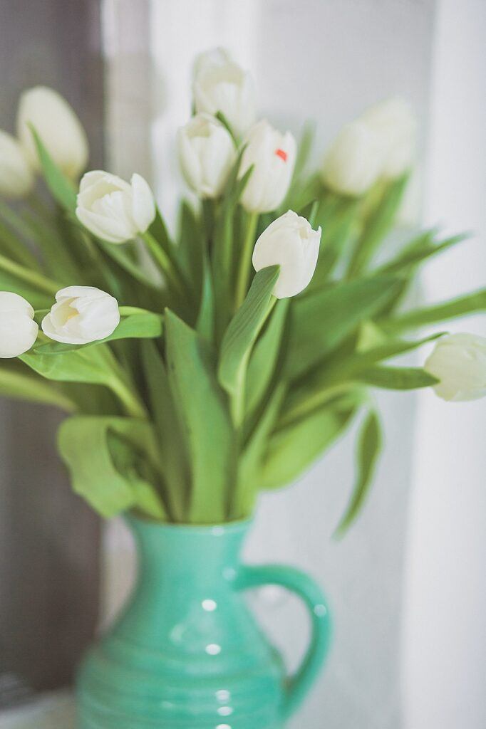 Weiße Tulpen