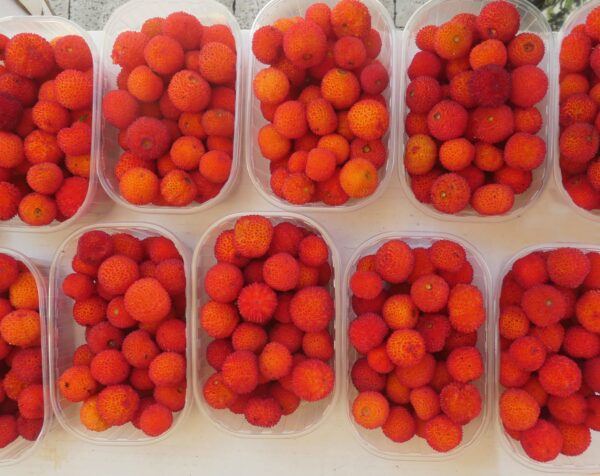 Geerntete orangerote Beeren des Erdbeerbaums in einer Schale auf einem weißen Tisch
