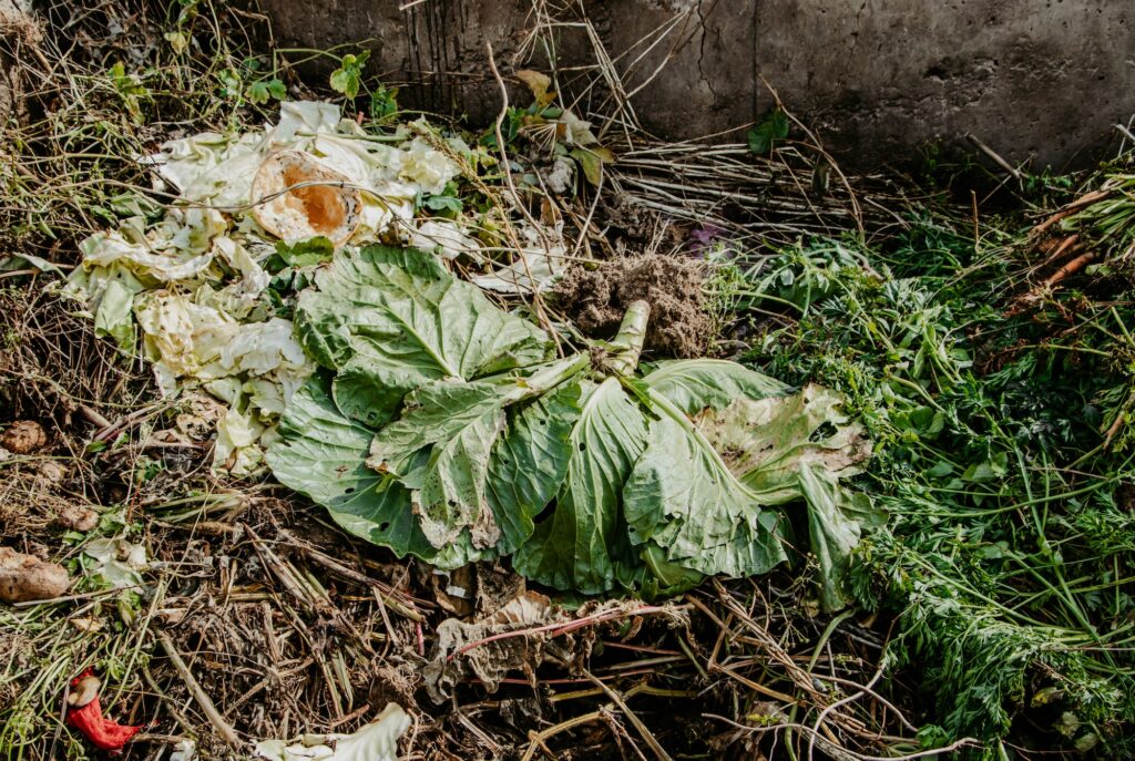 compost pit for food waste concept of organic fertilizers for garden