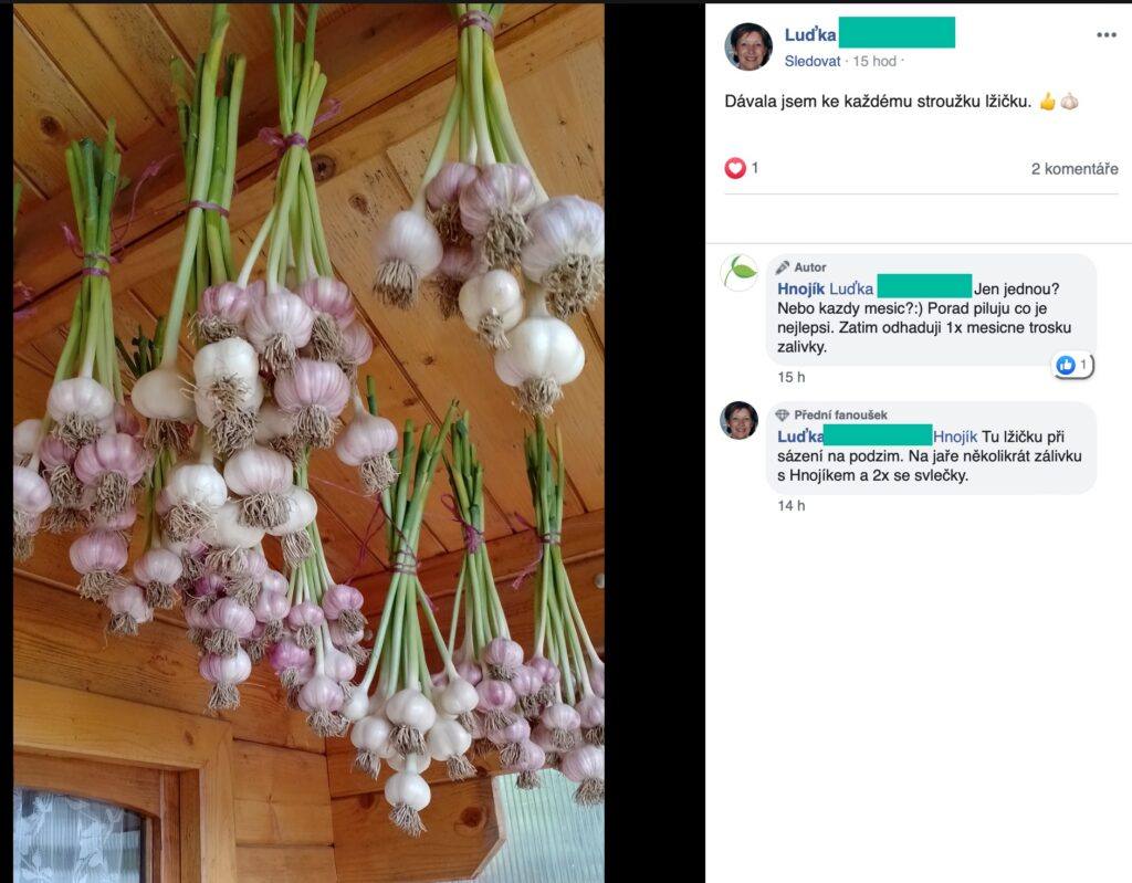 Screenshot eines Facebook-Beitrags: geernteter Knoblauch hängt in Bündeln zum Trocknen unter der Decke