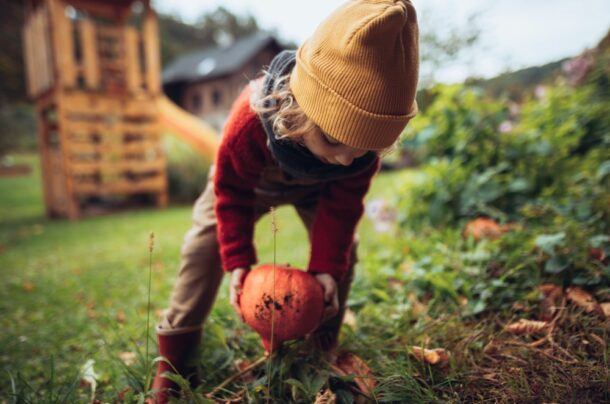 Gartenbeet im Oktober mit herbstlicher Vegetation