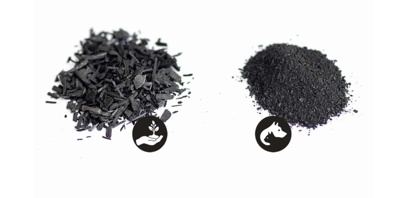 Vergleich zweier Formen von Biochar: gröbere Stücke mit Pflanzensymbol und feines schwarzes Pulver mit Tiersymbol
