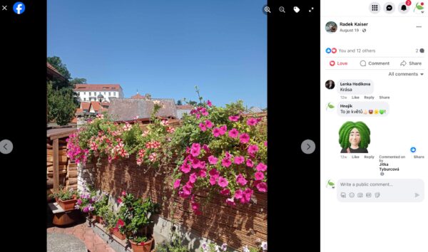 Kaskade rosa Sommerblumen, die über das Terrassengeländer über den Dächern der Kleinstadt fällt