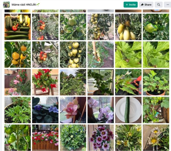 Bildmosaik mit Gemüse und Blumen, das Mitglieder der Facebook-Gruppe Máme rádi Hnojík geteilt haben