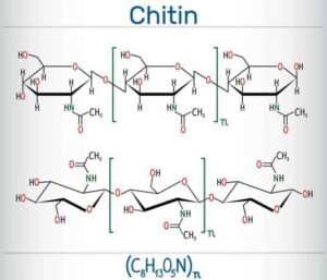 Chitin - formel