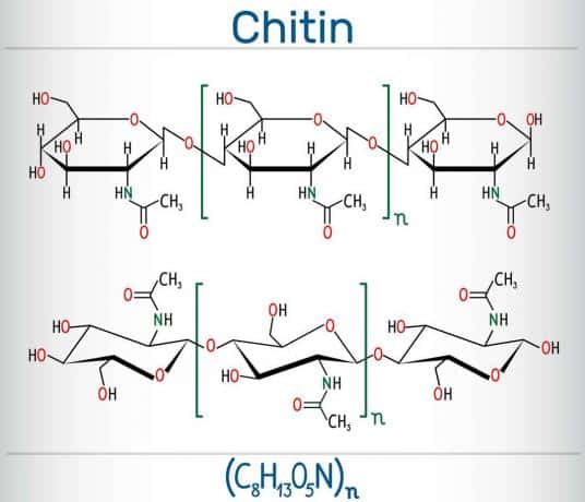 Chitin - formel