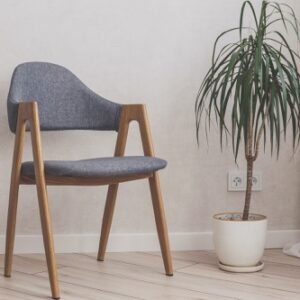 Drachenbaum im modernen Interieur neben einem grauen Sessel