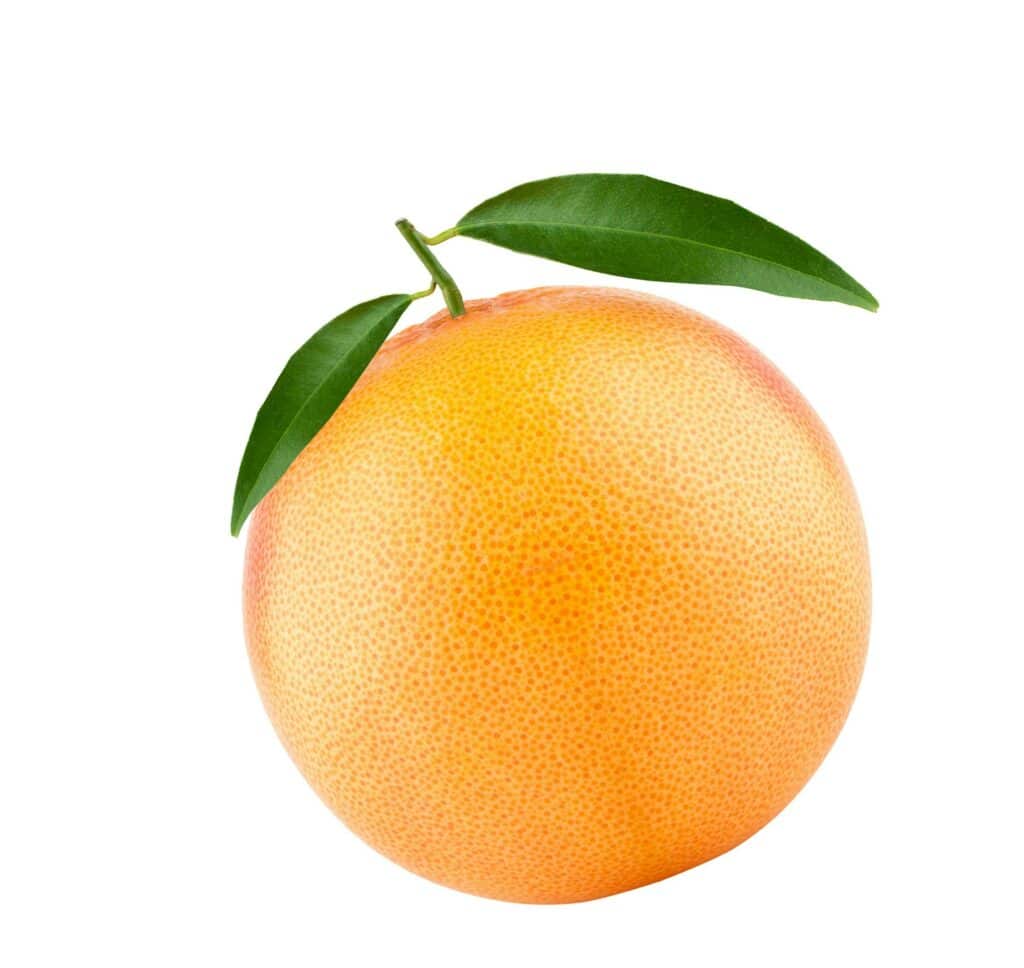 Grapefruit – Frucht mit Blättern auf weißem Hintergrund.