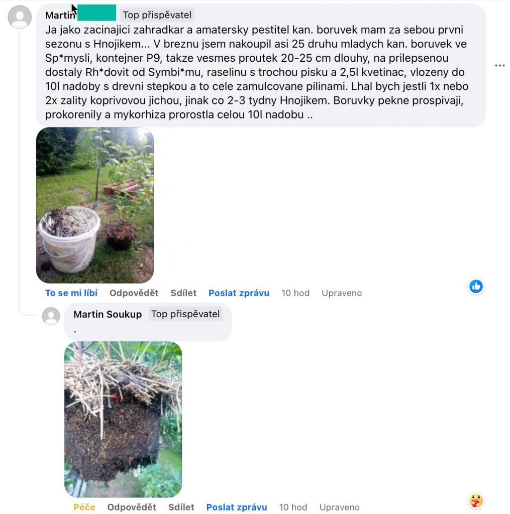 Kundenbericht auf Facebook über die Anzucht von Kulturheidelbeeren im Kübel