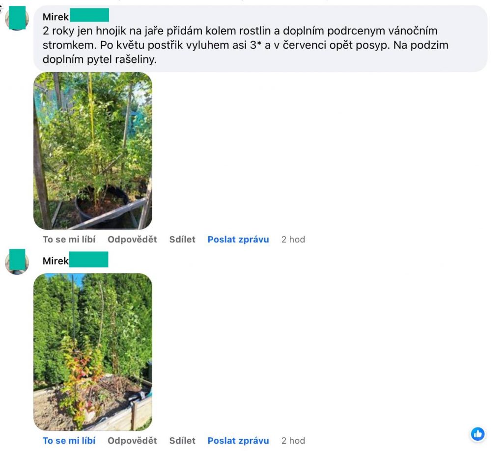 Kundenbericht auf Facebook über das Düngen von Heidelbeeren