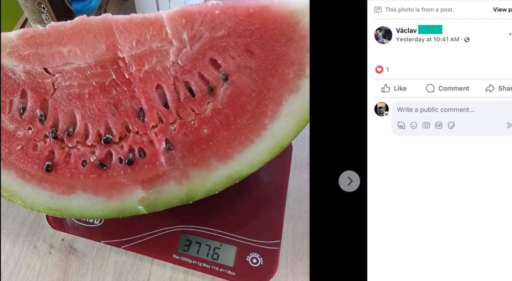 Screenshot eines Facebook-Beitrags: aufgeschnittene Melone auf der Küchenwaage, 3 776 g
