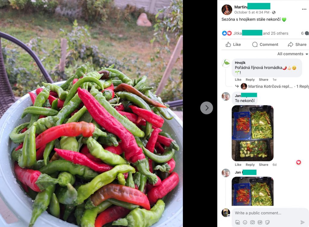 Screenshot eines Facebook-Beitrags: eine Schale roter und grüner Chilischoten