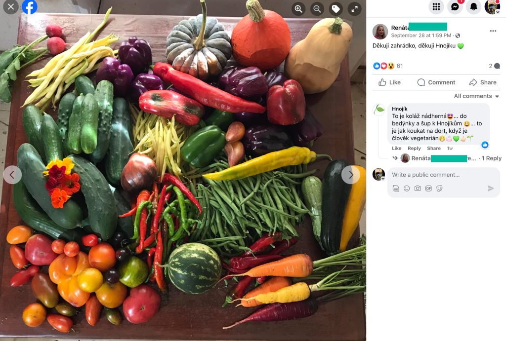 Screenshot eines Facebook-Beitrags: Herbsternte — Kürbisse, Gurken, Tomaten, Bohnen und Möhren