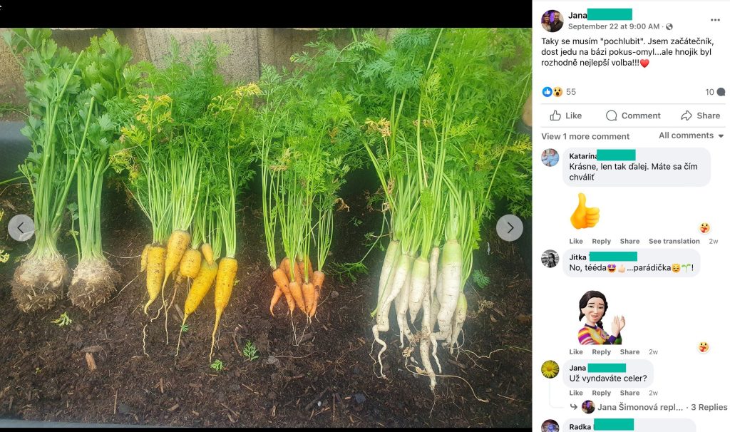 Screenshot eines Facebook-Beitrags: geerntete Möhren in mehreren Farben und Sellerie