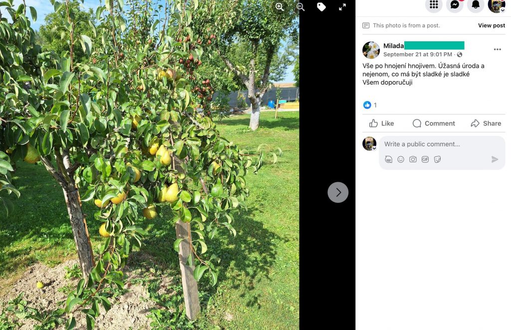 Screenshot eines Facebook-Beitrags: ein Birnbaum voller Früchte im Garten
