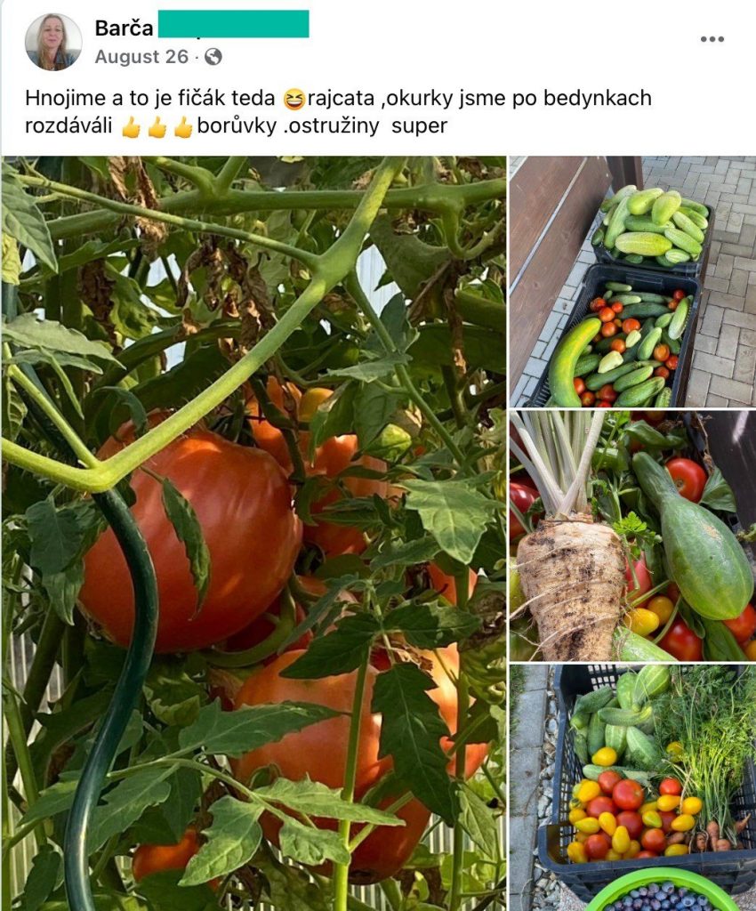 Screenshot eines Facebook-Beitrags: Tomaten am Strauch und Kisten mit Gurken, Tomaten und Heidelbeeren