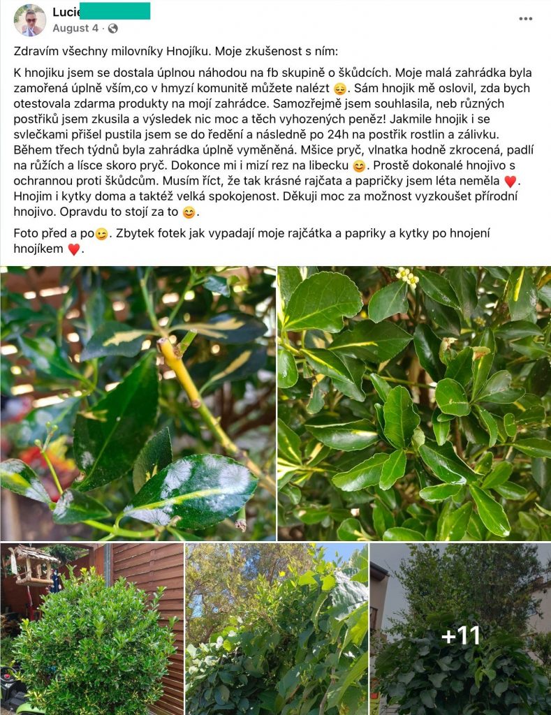 Screenshot einer Facebook-Bewertung: Eine Kundin beschreibt ihre Erfahrungen mit Düngee und zeigt Fotos ihrer Sträucher