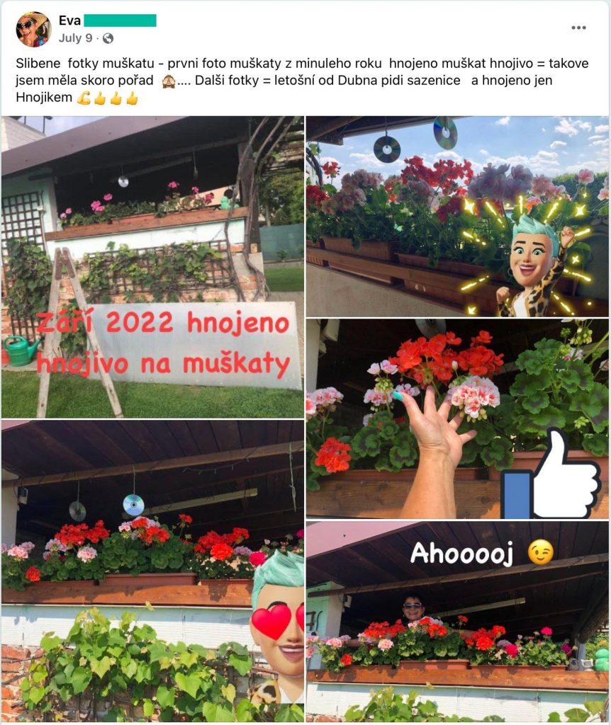 Screenshot eines Facebook-Beitrags: Geranienkästen auf der Veranda, Vergleich zweier Saisons