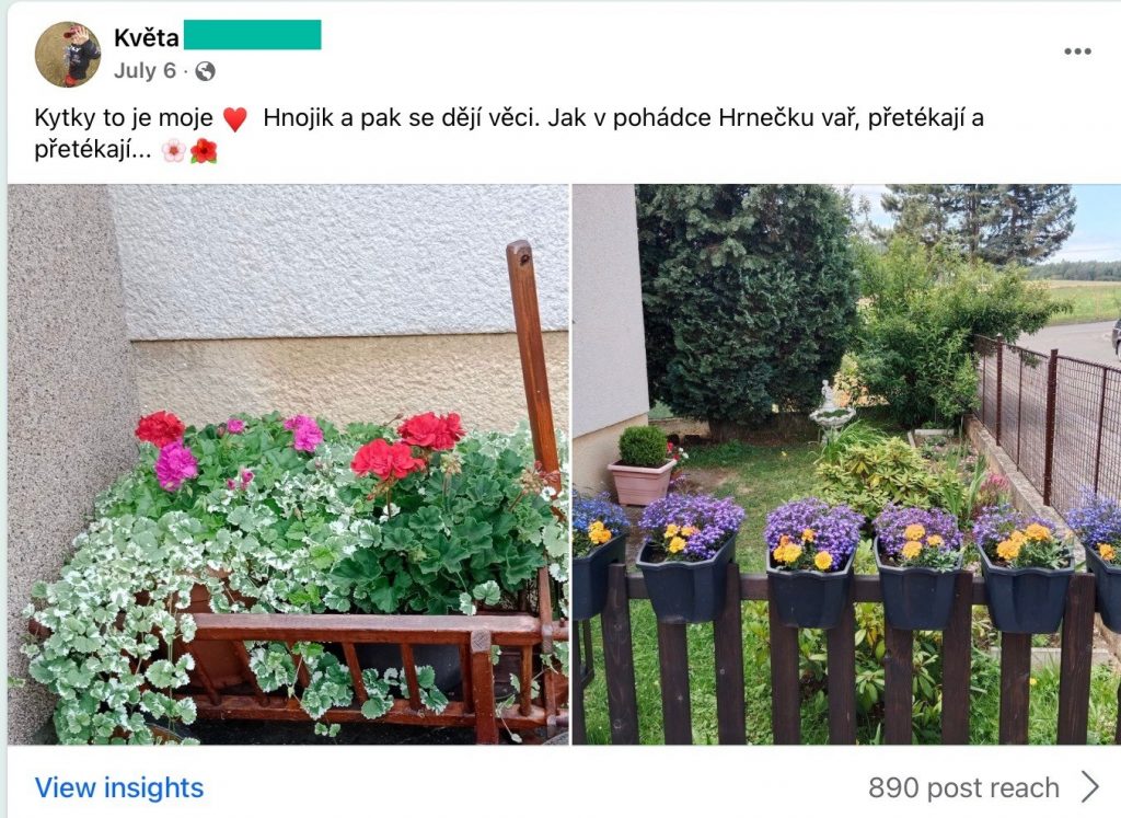 Screenshot eines Facebook-Beitrags: ein Geranienkasten am Haus und Blumentöpfe mit Sommerblumen am Zaun