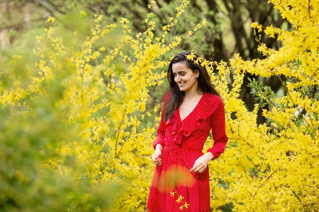 Forsythie – in großer Zahl blühend und eine Dame in rotem Kleid in der Mitte stehend.