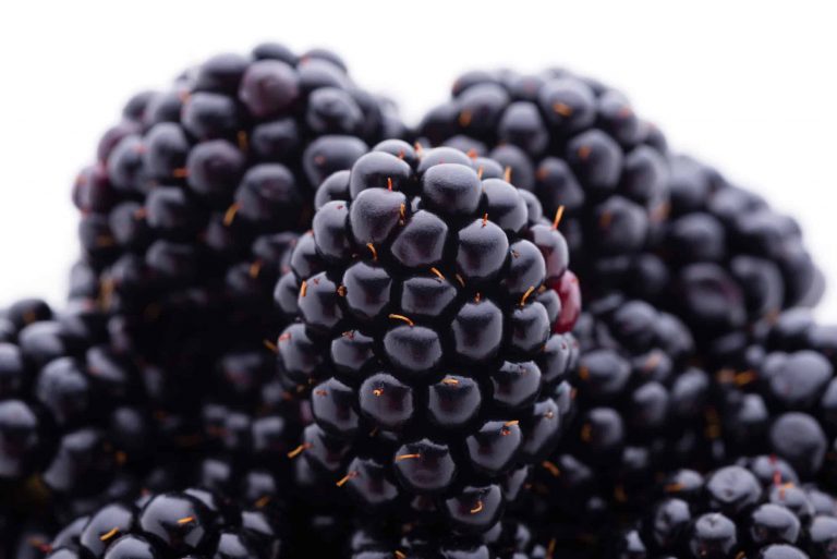 blackberries.jpg