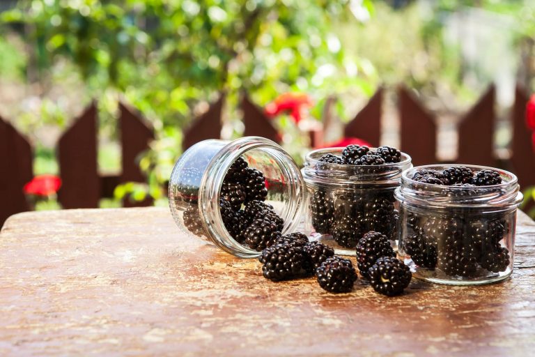 fresh-fruit-in-a-jar-on-a-wooden-table.jpg