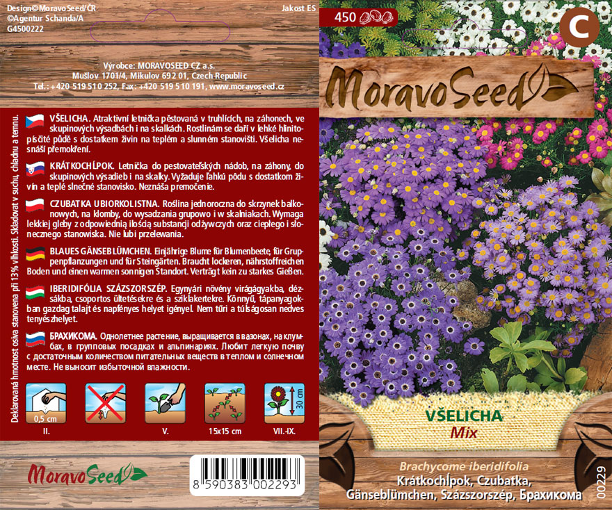 Saatgutpackung einer Brachyscome-Mischung (Brachyscome iberidifolia)