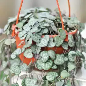 Keramischer Kerzenhalter mit weißer Glasur und schlichtem Design