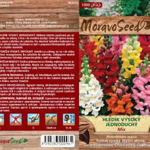 Hohes Löwenmaul - Antirrhinum majus