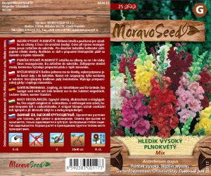 Hohes Löwenmaul - Antirrhinum majus (25)