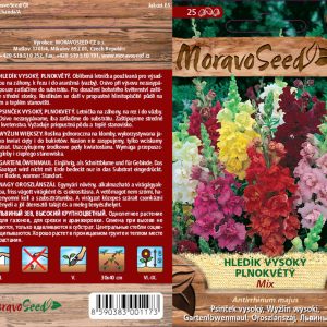 Hohes Löwenmaul - Antirrhinum majus (25)