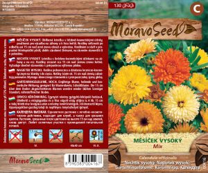 Ringelblume hoch - Calendula officinalis