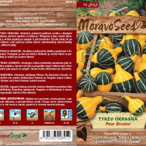 Zierkürbis - Cucurbita pepo - gelbgrün