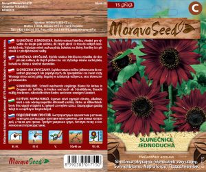 Rote Sonnenblume - Helianthus annuus - Red Sun