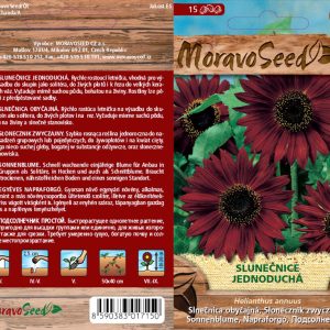 Rote Sonnenblume - Helianthus annuus - Red Sun