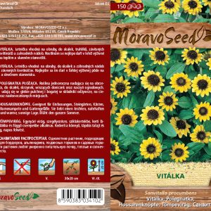 Sonnenblumige gelbe Blüten der Vitálka in voller Blüte mit grünen Blättern auf Saatguttüte