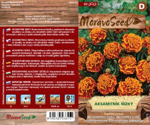 Studentenblume niedrig - Tagetes patula - gefüllt orangebraun
